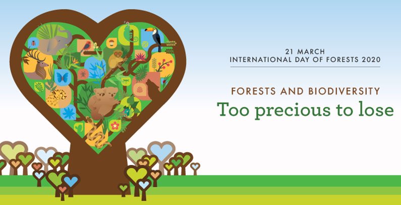 Forests🌲🌳🌴 are a critical part of nature-based solutions for many of 🌍 challenges we face. Forest owners, managers, local & indigenous communities have a significant role to play. My message on the occasion of #IntlForestsDay  🇺🇳 un.org/esa/forests/ou… @UNDESA @FAOForestry