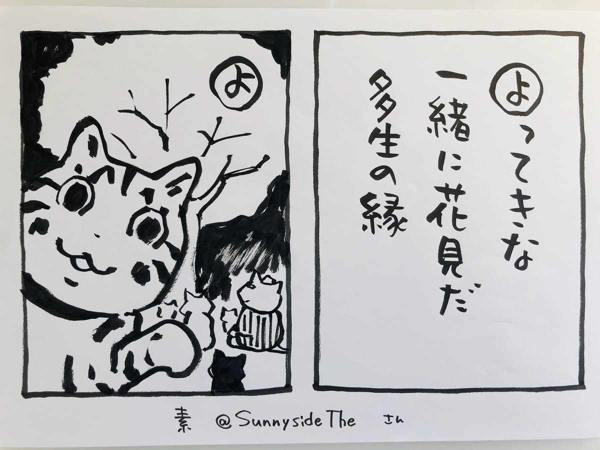 おはようございます
これは、素@Sunnysidetheさんの句です
私も、咲き始めた桜を見ていました
急ぐ自転車で通りかかった人が
一瞬、止まって
「もう咲いた?」
「はい、あそこ」「ああ」
3秒ほどの
しかし、お花見になりました
今日
ご無事で
#夜廻り猫
