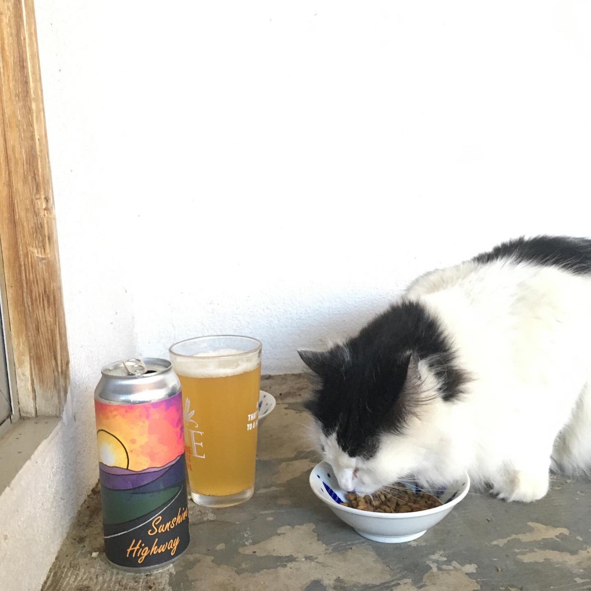 CroneLiz's tweet photo. #dunloebrewing #shelteringinplace #mobythecat #notdrinkingalone #endofalongweek https://t.co/spmtVdw7t6
