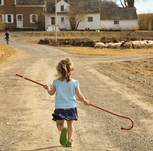 Studio Hill tweet media