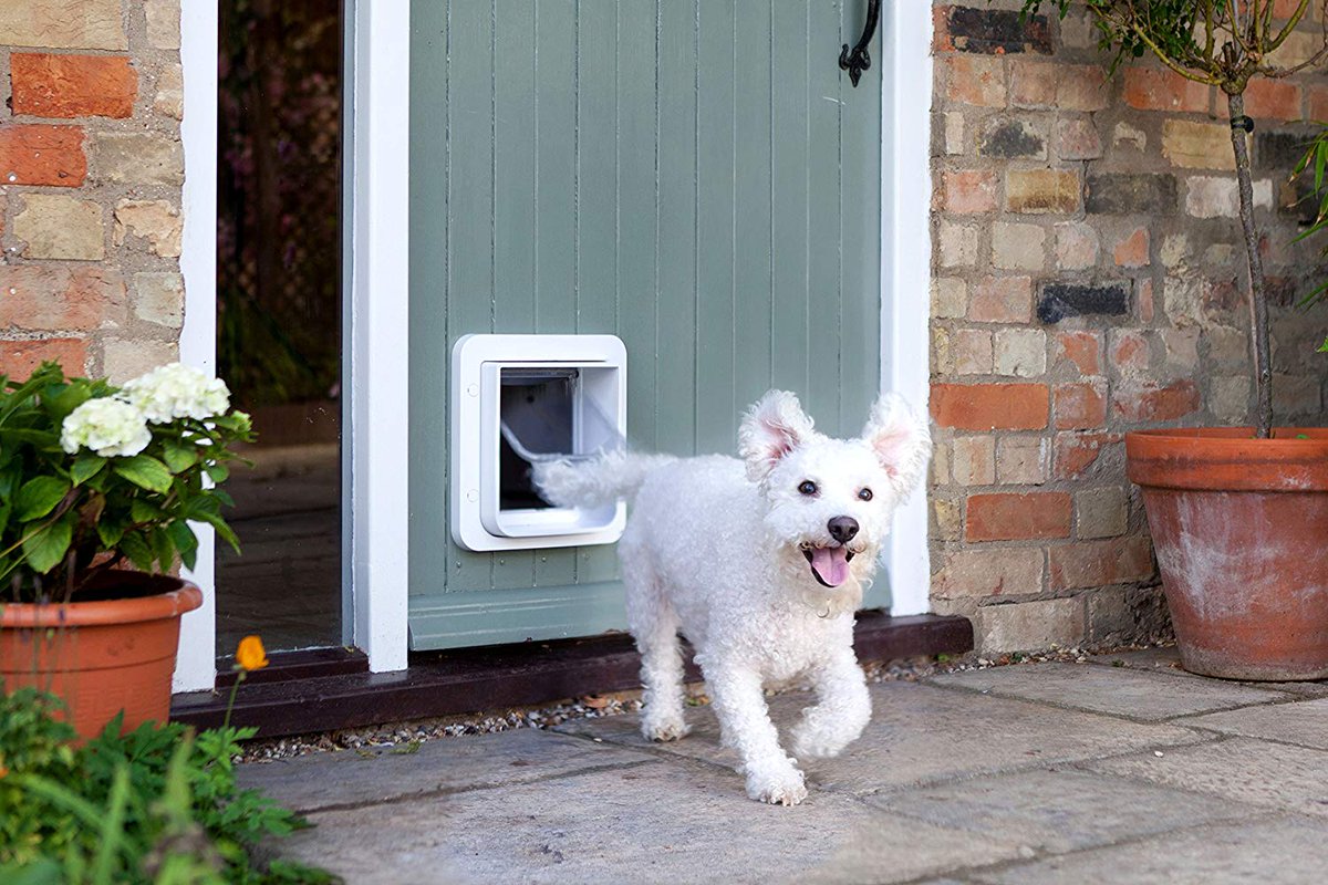 rhstoreuk's tweet photo. SureFlap Microchip Pet Door : https://t.co/ZoQMFxzXZI
#door #window #glass #drinkup #can #cocktails #whiskey #bar #pub #drink #happyhour #drinking #vodka #beer #beers #craftbeer #beerporn #cerveza #wine #vino #mug #winetasting #winelover #redwine #drinks #420 #cheers #shots https://t.co/8iFv0wEeka