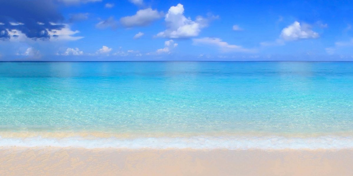 Dear Valued Guests, please note that due to to the recent COVID-19 recommendations and measures, Sandy Toes tour operations will be temporarily suspended from March 20th to April 6th, 2020. Please check back with us in the near future for further updates or please send an ema...!