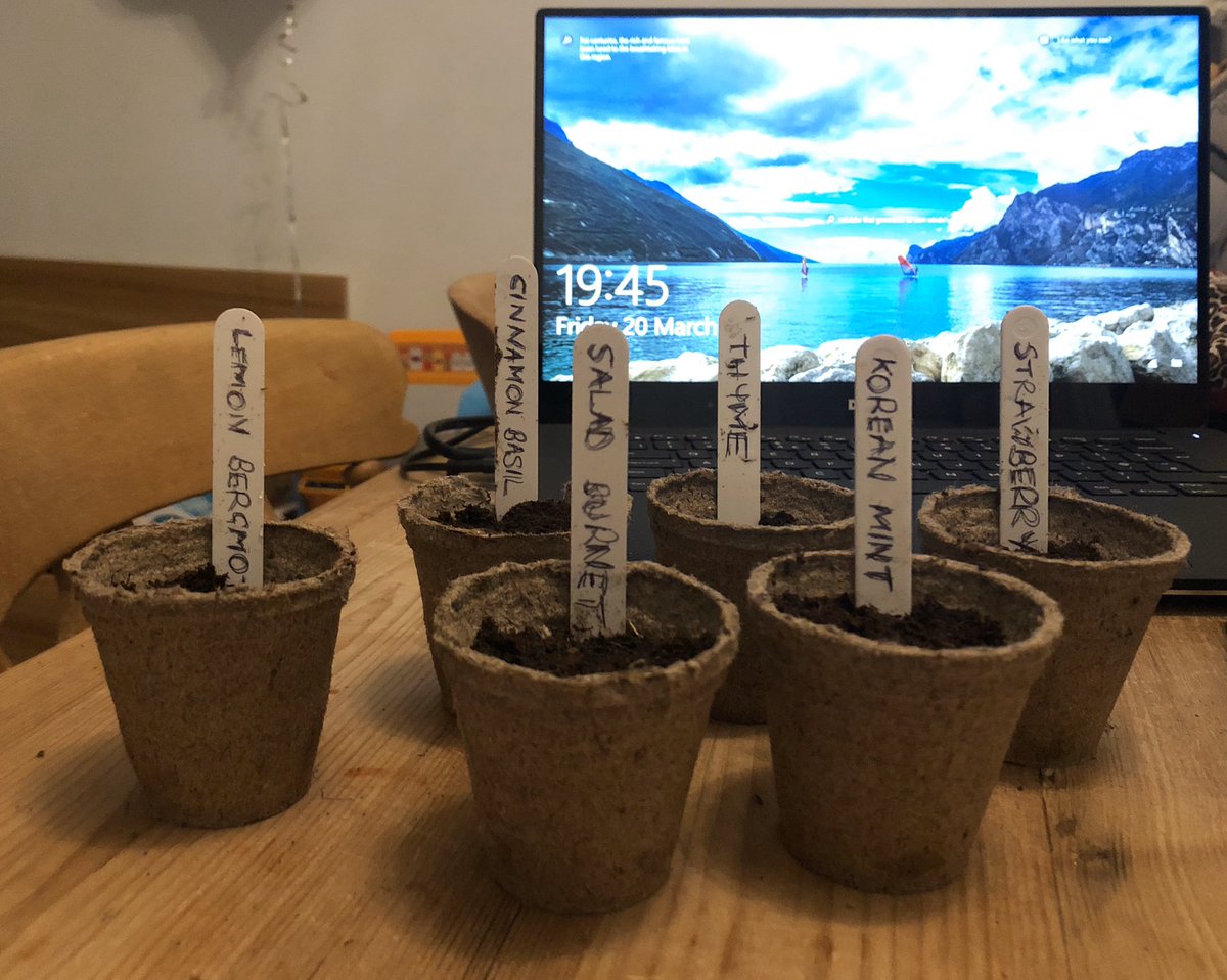 ProductRob's tweet image. To signify the end of my first week working from home I have planted some seeds!

Now let me see if I can get these to grow during this quarantine period...

#workfromhome #newbeginnings