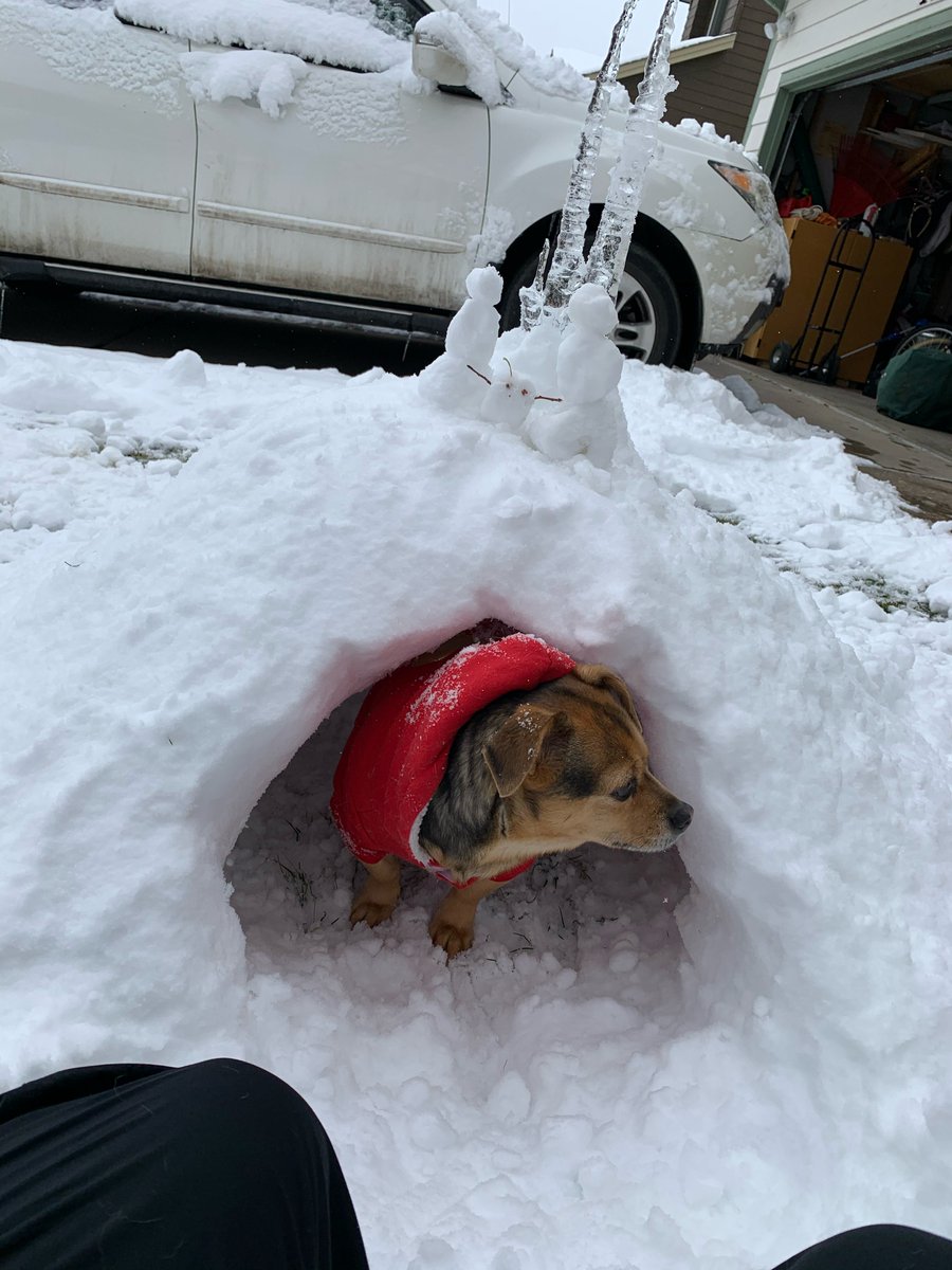 MrsMeyer20's tweet photo. Challenged my students to a snowman building contest...here is my promo video for it and student creations! https://t.co/Ei0gWbpBmR
@JeffcoSchoolsCo @WeVideo @COJasonGlass #teachingfromhome #jeffco @YouTube @JeffcoIT @SummitMiddle #jeffcolearns https://t.co/vexJGPLJNe