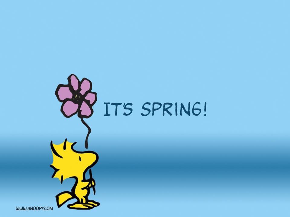 malikuaf2011's tweet photo. #welcome_Spring. https://t.co/ZAB3eWERWC