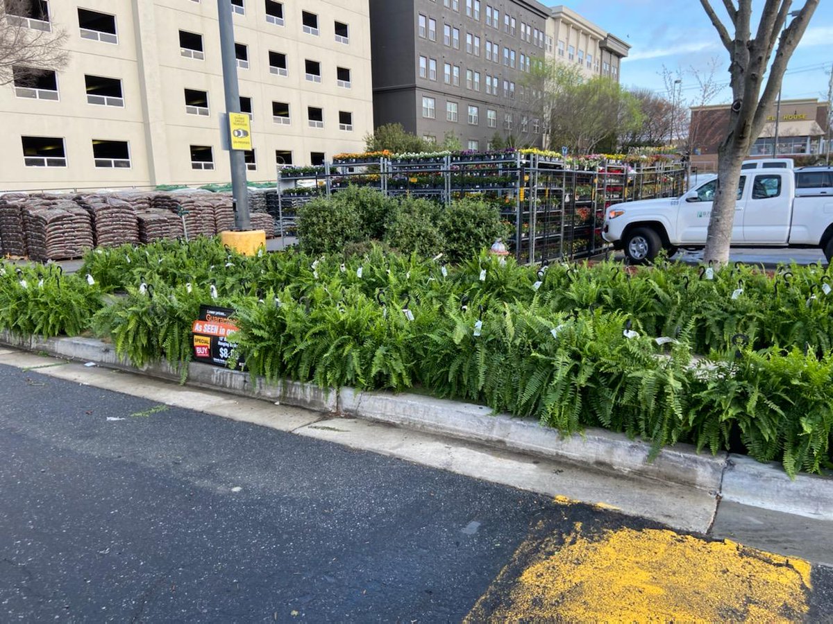 Costa Farms presents "Fern Frenzy" at a Home Depot near you!