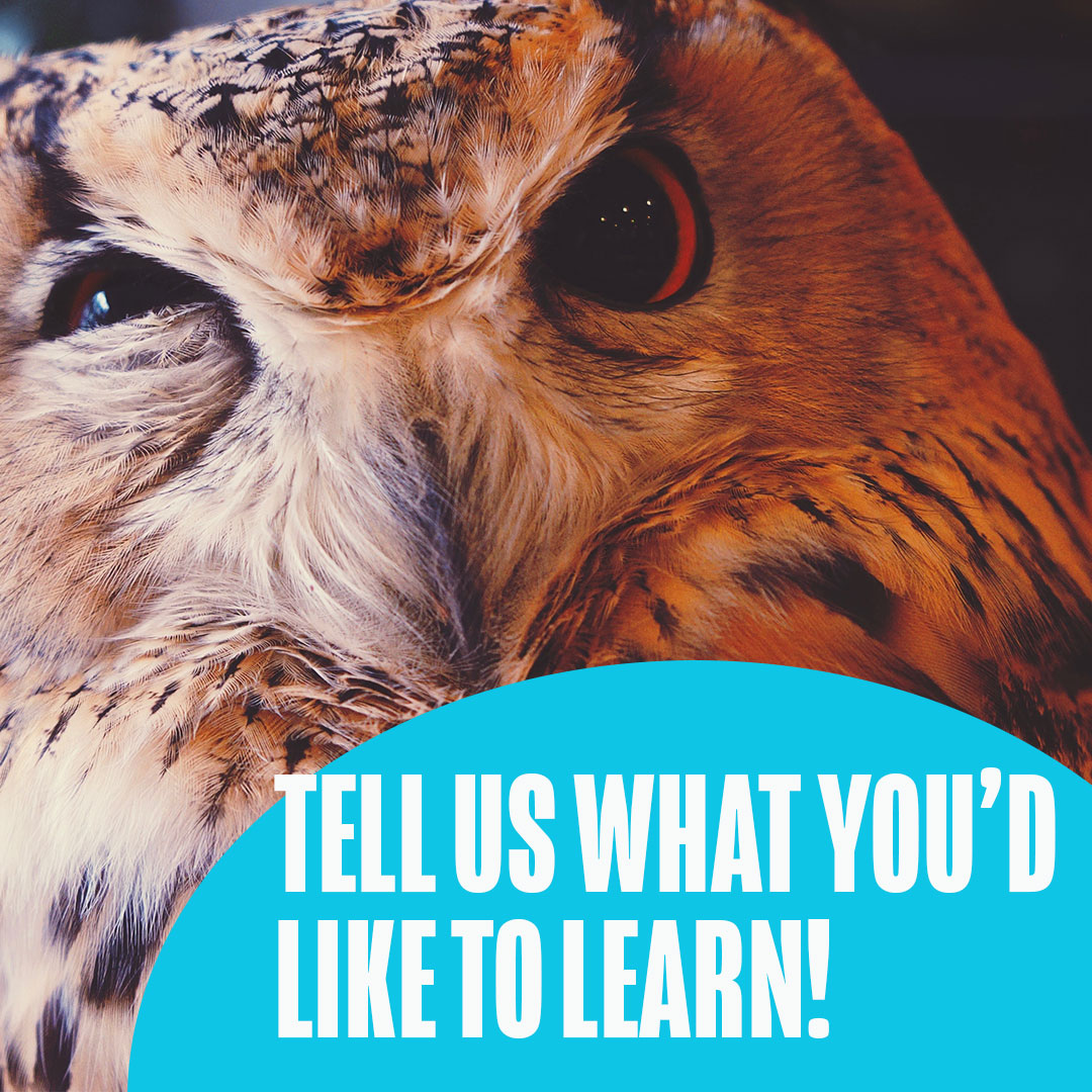 OntScienceCtr's tweet image. Since our doors are temporarily closed, we’re gearing up to bring the Science Centre to you! What would you like to #explore &amp;amp; #learn more about? Let us know. We’re listening!👂

#TakingSuggestions #AtHomeTogether #FlattenTheCurve #ScienceFromHome