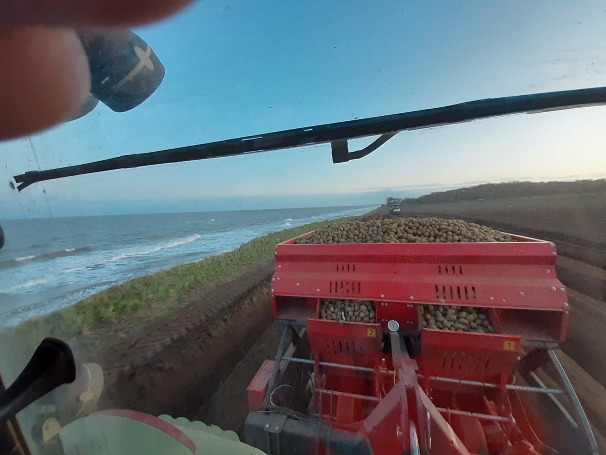 dbostock1964's tweet photo. When these beauties are ready.... time to catch a cod next door i feel🎣  #fishnchipsupper #suffolkspuds @CapelStAndrewFm @JamesEKlug https://t.co/ekjqcRTHsn