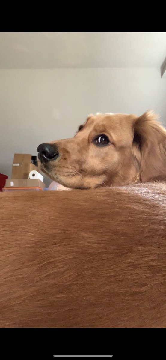 4leafbover's tweet photo. Is this a good angle? https://t.co/7I8e1JuV82