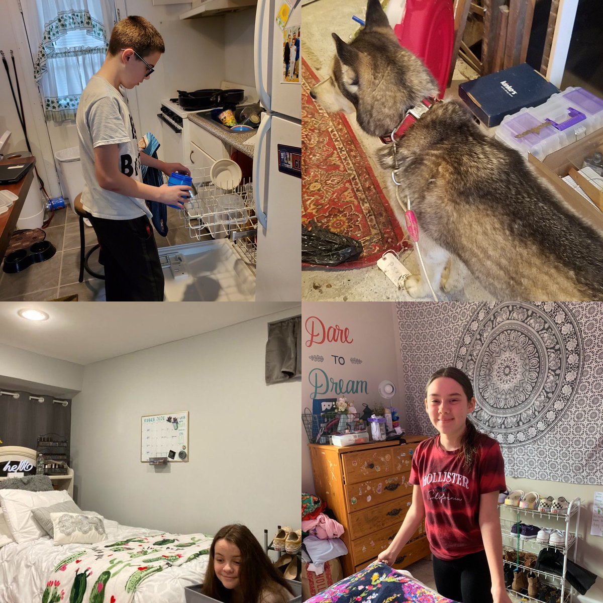 NinaAimeee's tweet photo. My 7th graders didn’t shy away from their chore challenge, so proud of all of you! Keep working hard 🤗 #responsibility #accountability #pbis @HolbeinSchool @PBISRewards @mthollyschools https://t.co/t5iHa5IsbH