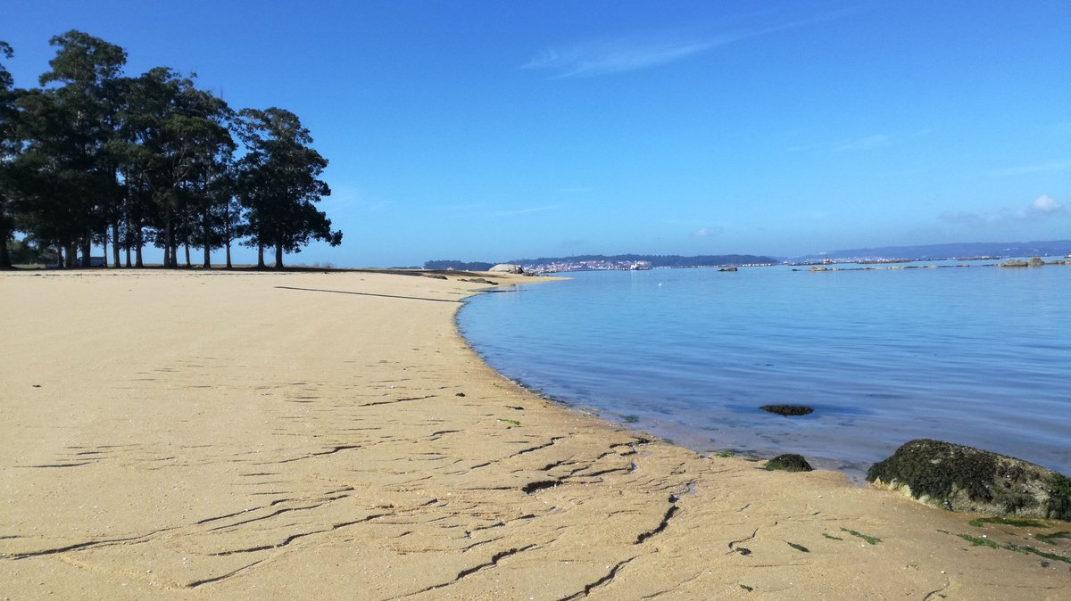 SandraGuiaGZ's tweet photo. ✅ Despois da corentena eu viaxo a ..... dar un paseo á praia das Sinas en Vilanova de Arousa 
#Proturga #EuApoioOTurismoGalego #EuViaxoPorGalicia #EuCambioDeData https://t.co/68DaGKX7qZ