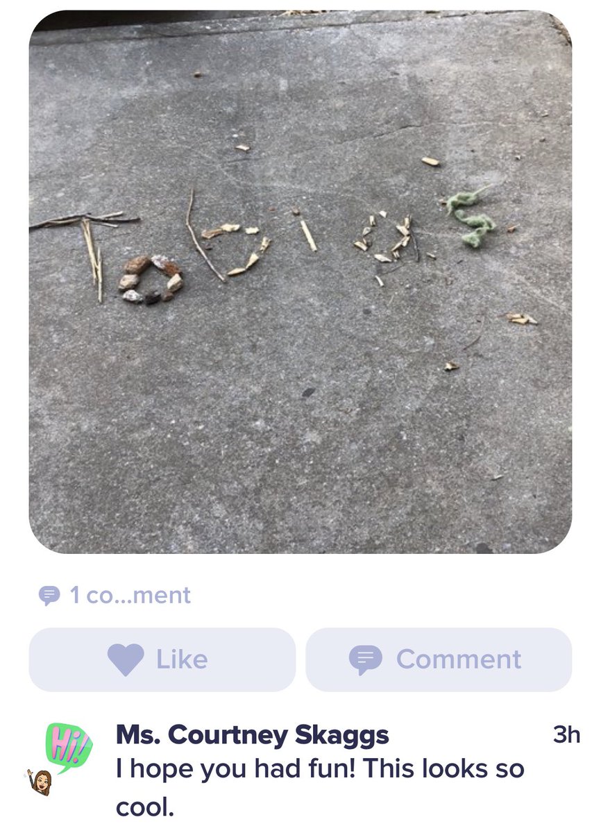 SunnyAtSanders's tweet photo. Today as part of digital learning day 5 we had a FUN Friday assignment. I built my name out things outside &amp; challenged my kiddos to post their creations to their @ClassDojo student account! https://t.co/h4eBmrAqBf