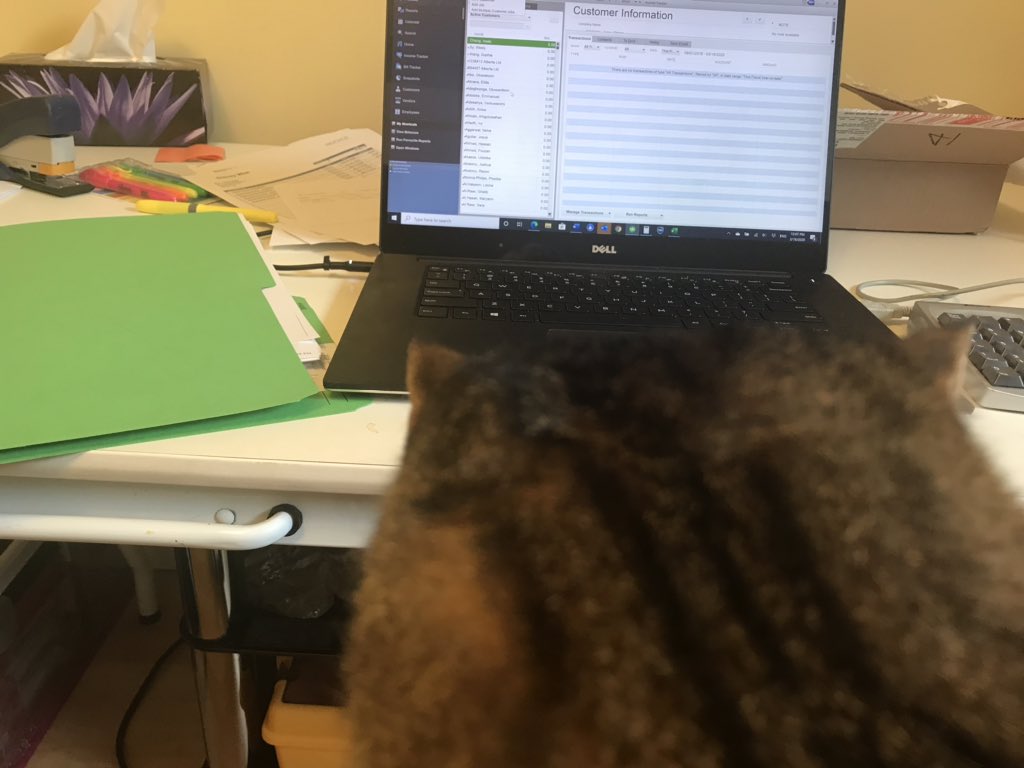 RomeoMinuet's tweet photo. Romeo: what’s wrong, Mom?
Mom: You’re distracting me!
Romeo: That’s okay, Mom - I know you still love me
Mom: *sigh* okay now I’ll finish this right!
#CatsOfTwitter #workingfromhome #distactions https://t.co/vvLsEvRN4Q
