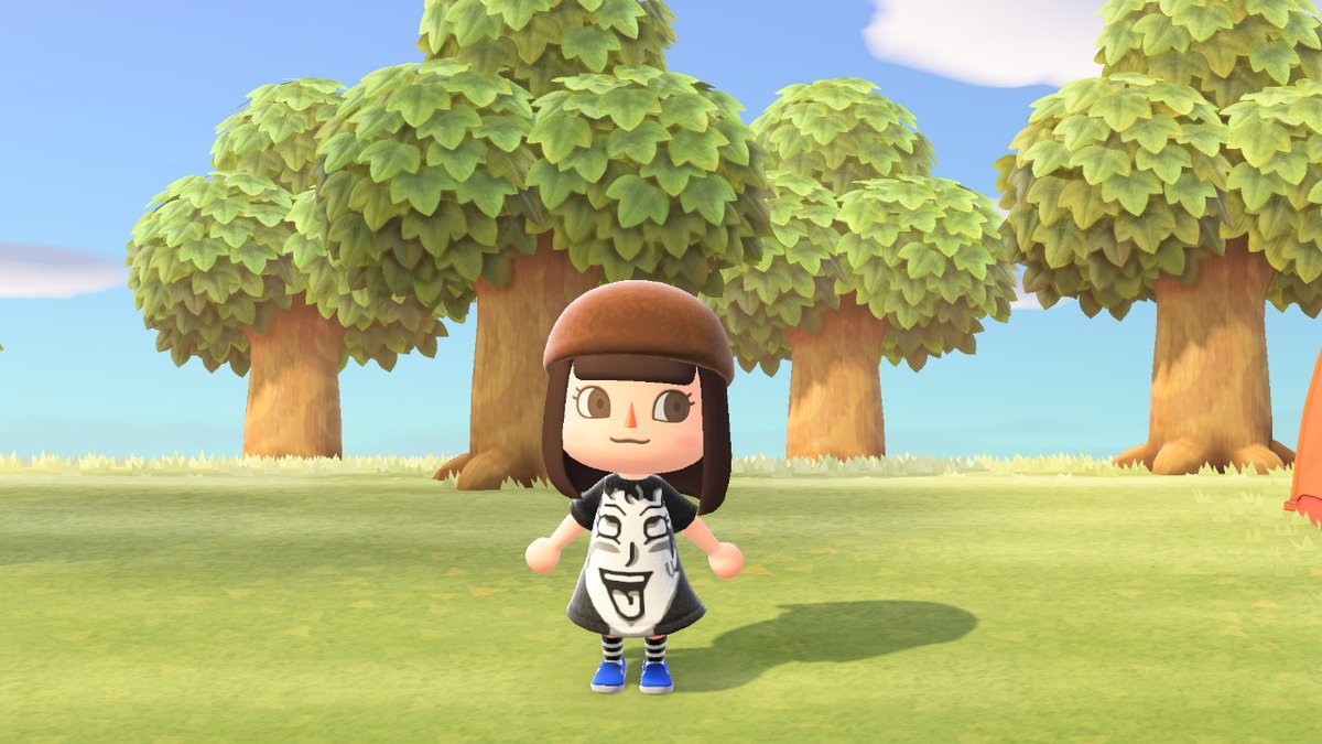 RealLordFends's tweet photo. Why did I do this?

 #AnimalCrossing #ACNH #NintendoSwitch https://t.co/F4XpoSnrQp