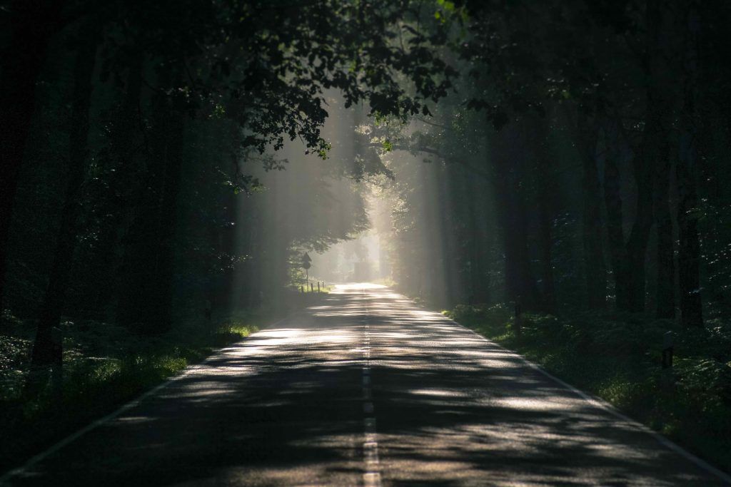 endurance_coach's tweet photo. Looking for the ins and outs on your next big endurance challenge? Coach Carson, @riding_raw, has got you covered. "How To: Planning and Goal Setting for Ultra-Distance Cycling" https://t.co/t8mw4VAedA https://t.co/co8OsNshcE