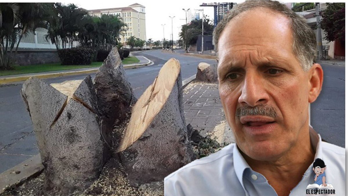 MartellPLH's tweet photo. ¿Y el enemigo de los árboles, del medio ambiente y del agua? ¿DÓNDE %#*&amp; ESTÁ?¿Será que como no hay cemento de por medio no hay interés? Vergonzosa y repudiable la actuación de las autoridades centrales y municipales en esta EMERGENCIA NACIONAL. ¡Urge afrontar necesidad de agua! https://t.co/5ngg89ATEO