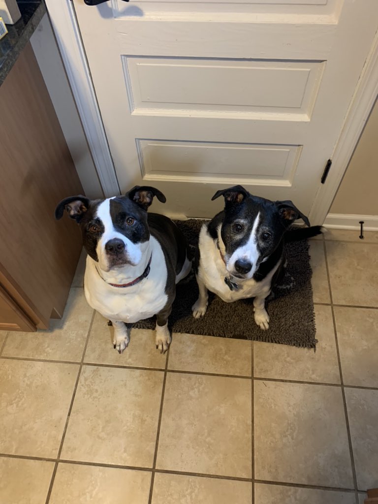 Jamie Cuny tweet media