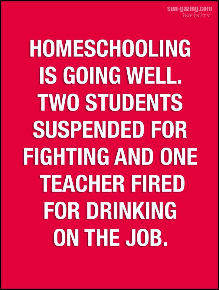 michelleapeluso's tweet photo. Needed a laugh today!  #StayAtHomeChallenge https://t.co/sPUtsO40ic