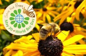 EmJ_75's tweet photo. Did you know a third of the world’s food production depends on bees, i.e. every third spoonful of food depends on pollination!!
Celebrate the importance of bees with your students this  (World) Bee Day May 20th!  #UoNTeach  #pollinators  #sdg12

 https://t.co/LOfHjEpYya https://t.co/5IaENwwBDO