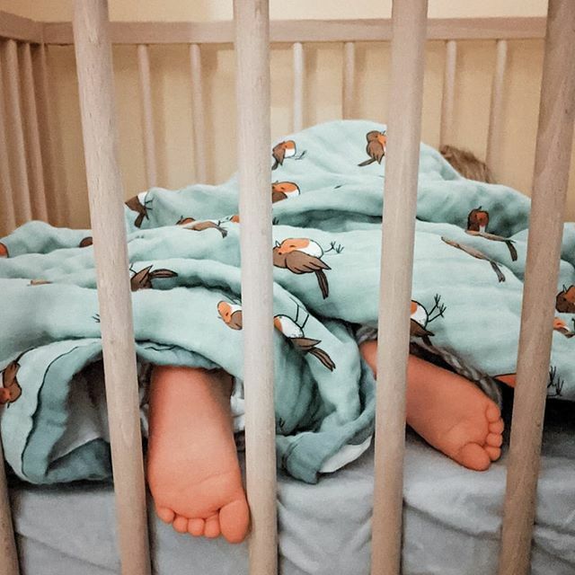 lbnbaby's tweet photo. Feeling exhausted after a big emotional day today 😔
I hope your little ones are tucked up tight in bed dreaming of wonderful adventures ✨
Sending you all love 🧡 because we need it.
.
.
📸: @keeping.up.with.the.joneses_ 💓
—————
#littlebluenestbaby … https://t.co/r9hTre1iht https://t.co/iG25jrRb1k