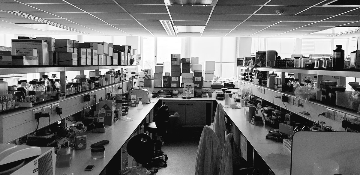 Lights off in the lab. Computers on at home. Time to learn new skills 'in silico' with <a href="/MRomanTrufero/">Monica Roman Trufero</a> <a href="/PaulaSaavedra7/">Paula SG</a> <a href="/MarilenaChris14/">Marilena Christoforou</a> <a href="/DrHibah/">HAA</a> and Elena LJ