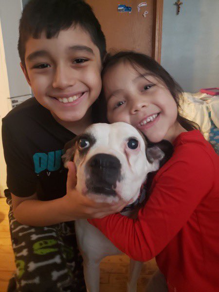 Sue Prause tweet media