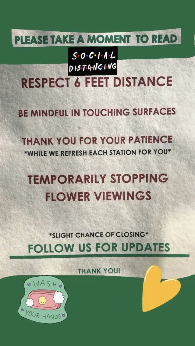 CollectiveAWAKE's tweet photo. Hey friends! We are still open these days. Pick up orders are highly suggested. Please read each note below for our updates during this time. HOURS: 10A-8P *slight chance of closing next week* #portlanddispensaries #portlandoregon https://t.co/eD9vuYyDmt