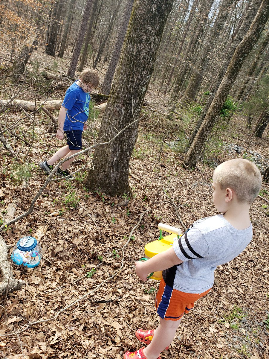 Angelica Hattaway tweet media