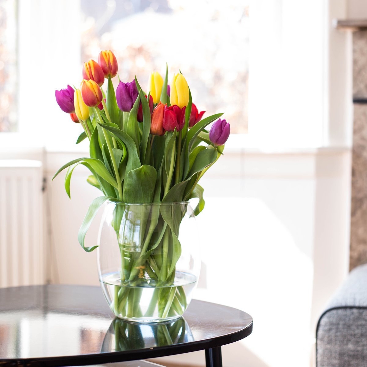 PickOntario's tweet photo. Happy first weekend of SPRING! This just might be the perfect weekend to seek out fresh local flowers and plants to brighten your home and your spirits ☺️💐 https://t.co/lRjiTTQDPw