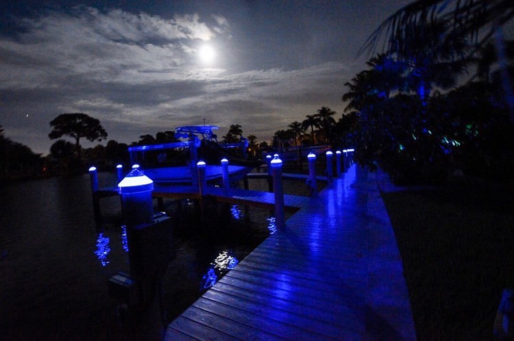 Doklite_DokLife's tweet image. IT's finally Friday! Get outside and enjoy your dock this weekend!

#pilingcap #solarlight #docklight #docklife #saltlife #lakelife #lakefront #waterfront