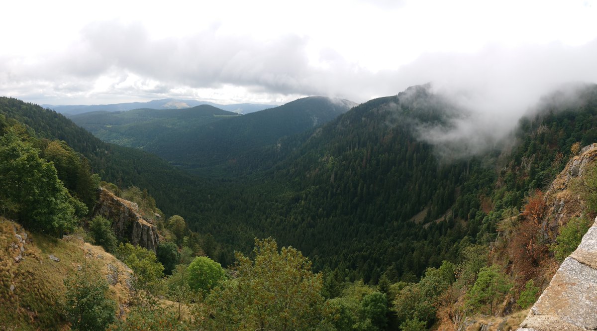 !Abgesagt - #Archäologie 2020 auf Archäologie-Blog #Corona archaeologieblog.de/abgesagt/