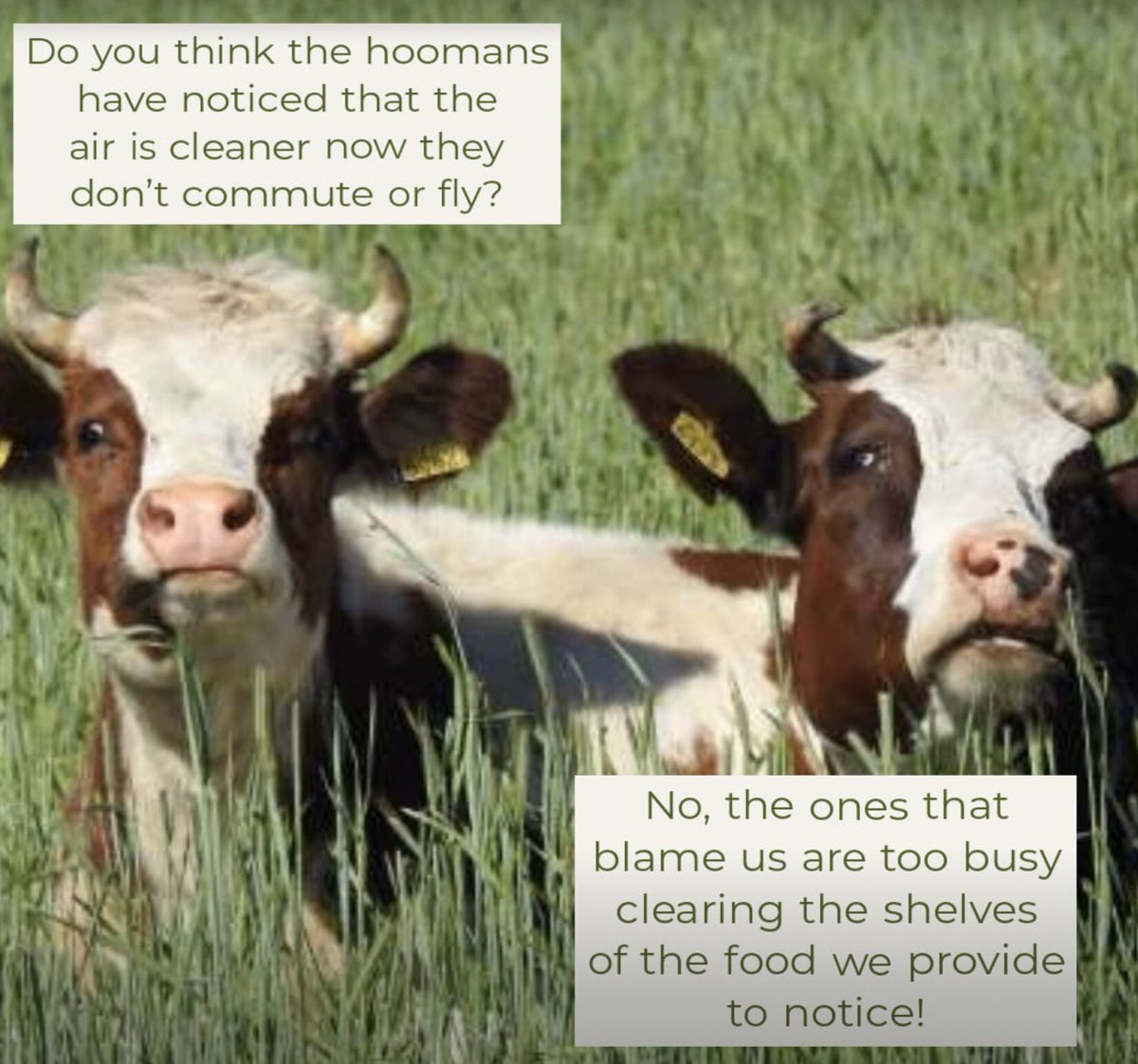 VentureFarmMachinery tweet media