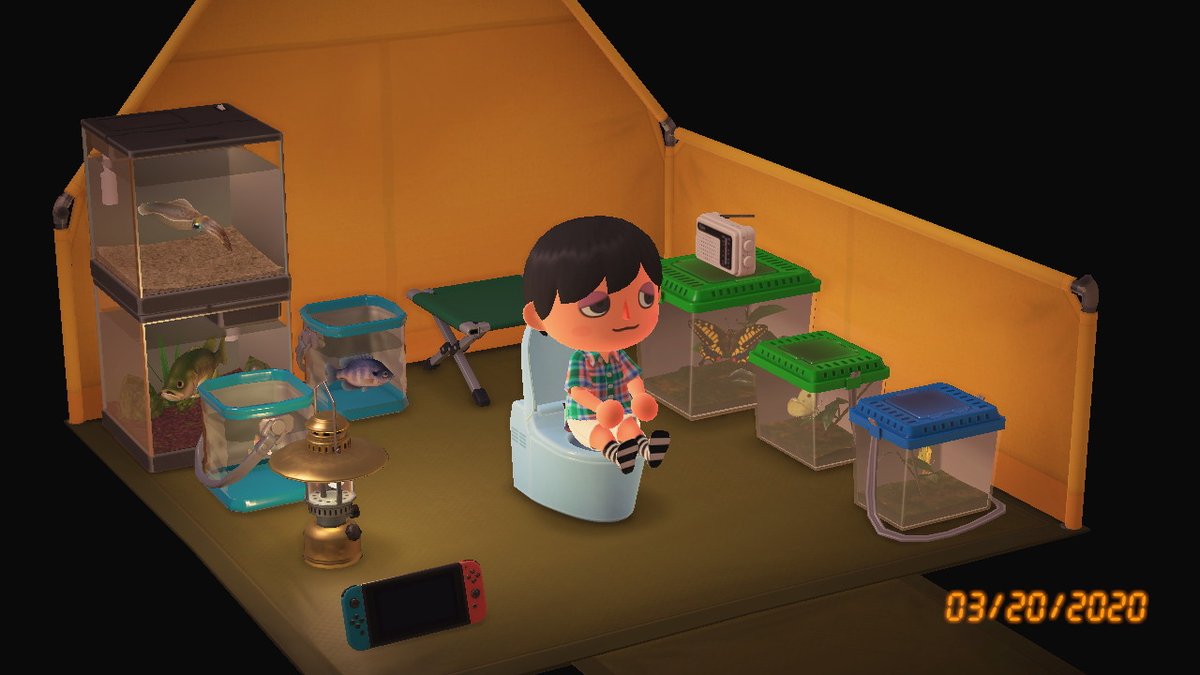 frogdecor's tweet image. house tour 4 adrew