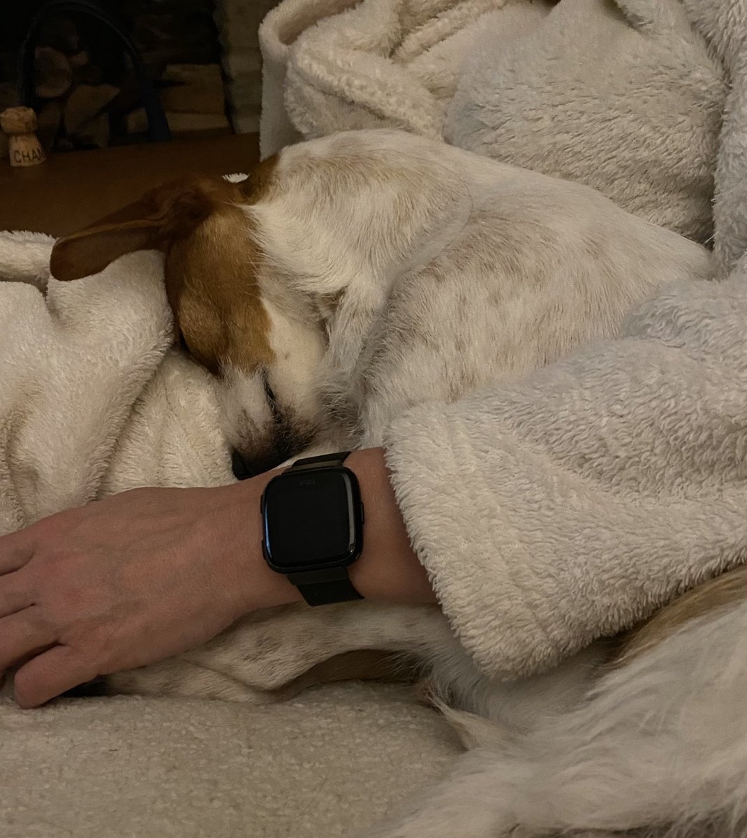 drdawnsdog's tweet photo. Snuggled with my Mum https://t.co/SoXUmYbvxZ