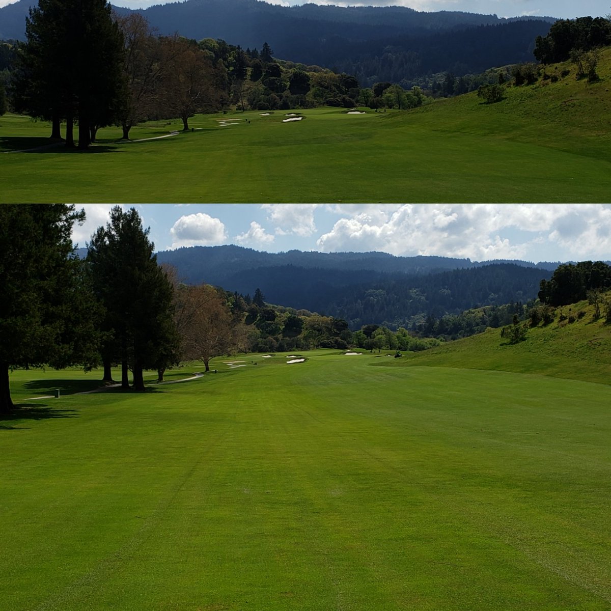 KevinHauschel's tweet photo. Before and After Fwy mow!! Course is looking good!! First day without golfers, a lot accomplished. #coronavirus #2mancrew https://t.co/NovyouAGiE