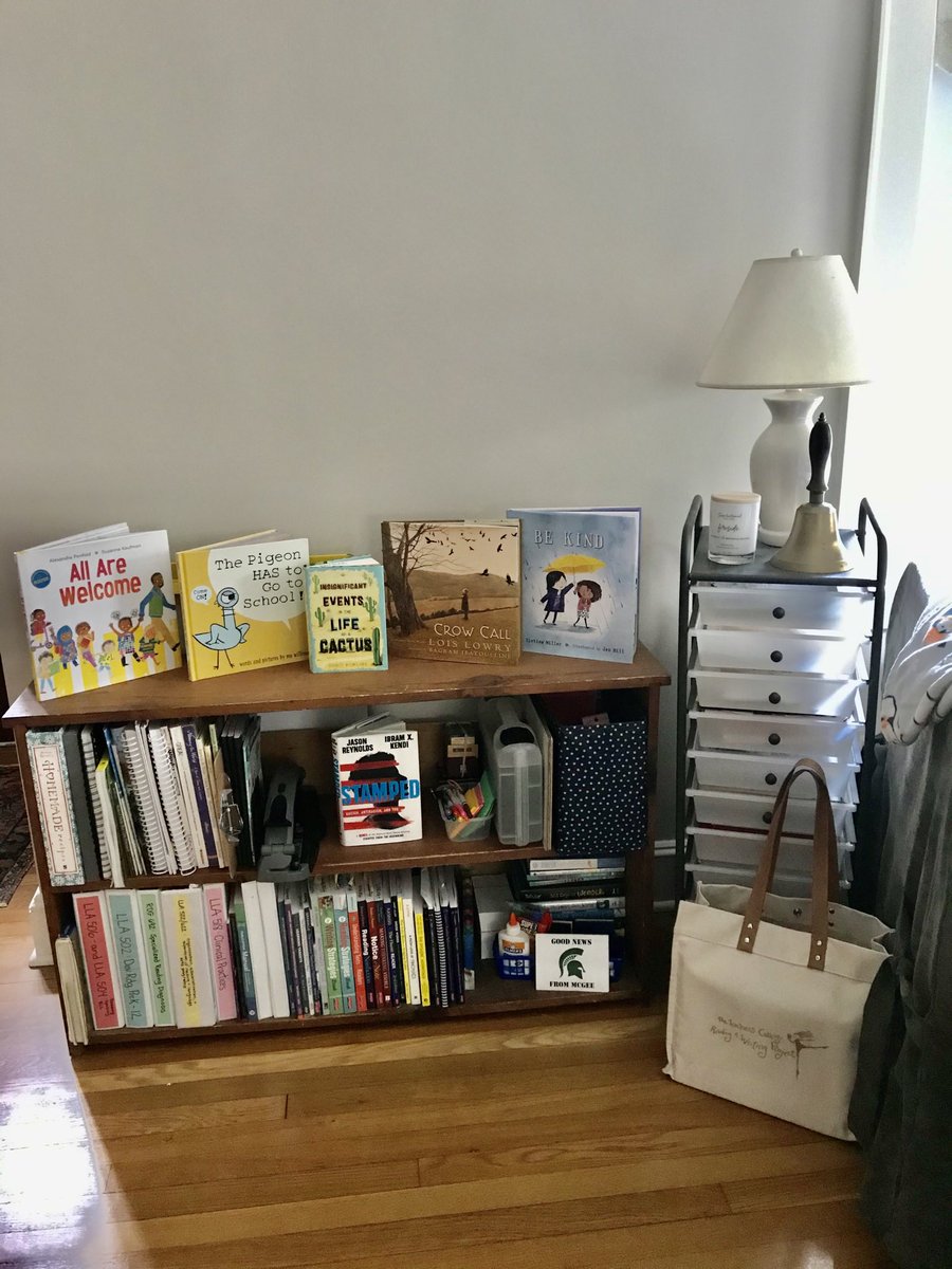 MsHarmonReads's tweet photo. Welcome to our new classroom! It comes complete with lots of great books and an orange cat. #WeAreMcGee https://t.co/ef4kKkjEFi