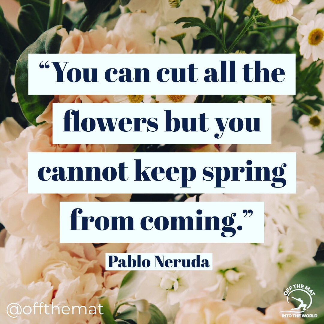 Off the Mat, Into the World tweet media