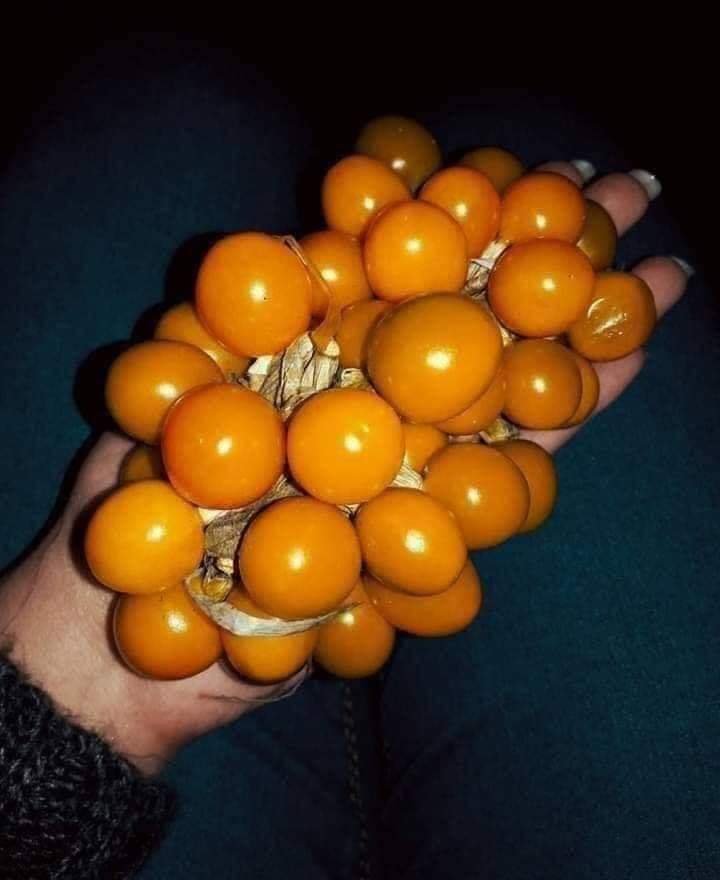 Prett__200's tweet photo. رابطه محبئ الحرنگش 😂🧡 https://t.co/fO1z9Y6w41