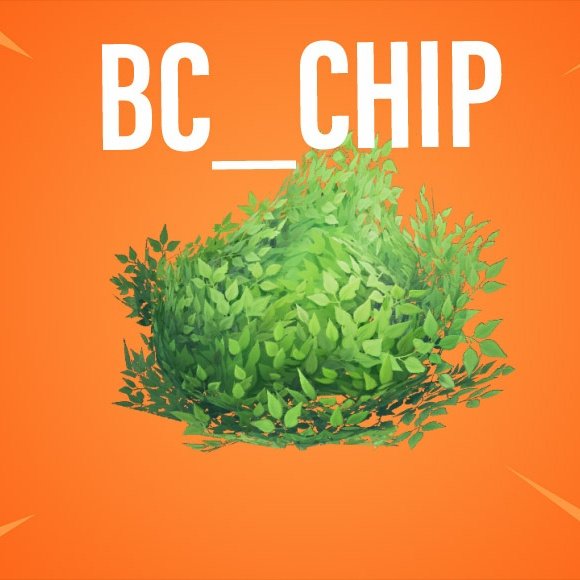 BCCHIP1's tweet image. New member of BUSHCLAN