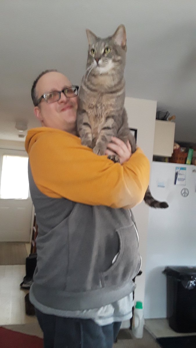 joannaspringer's tweet photo. #quaratinecats He got the cat high on catnip and then lifted him up high. I have no idea what the cat thinks of this. https://t.co/A2v0bVmcq2