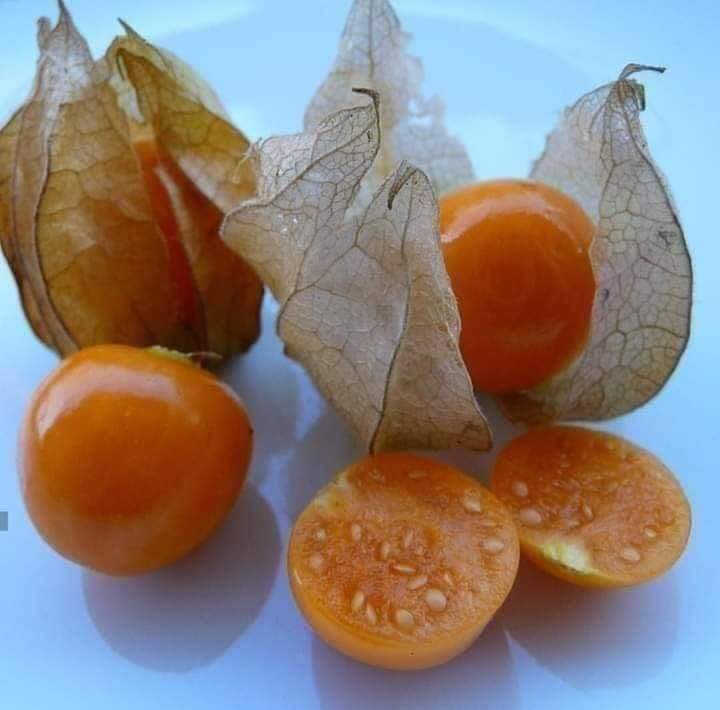 Prett__200's tweet photo. رابطه محبئ الحرنگش 😂🧡 https://t.co/fO1z9Y6w41
