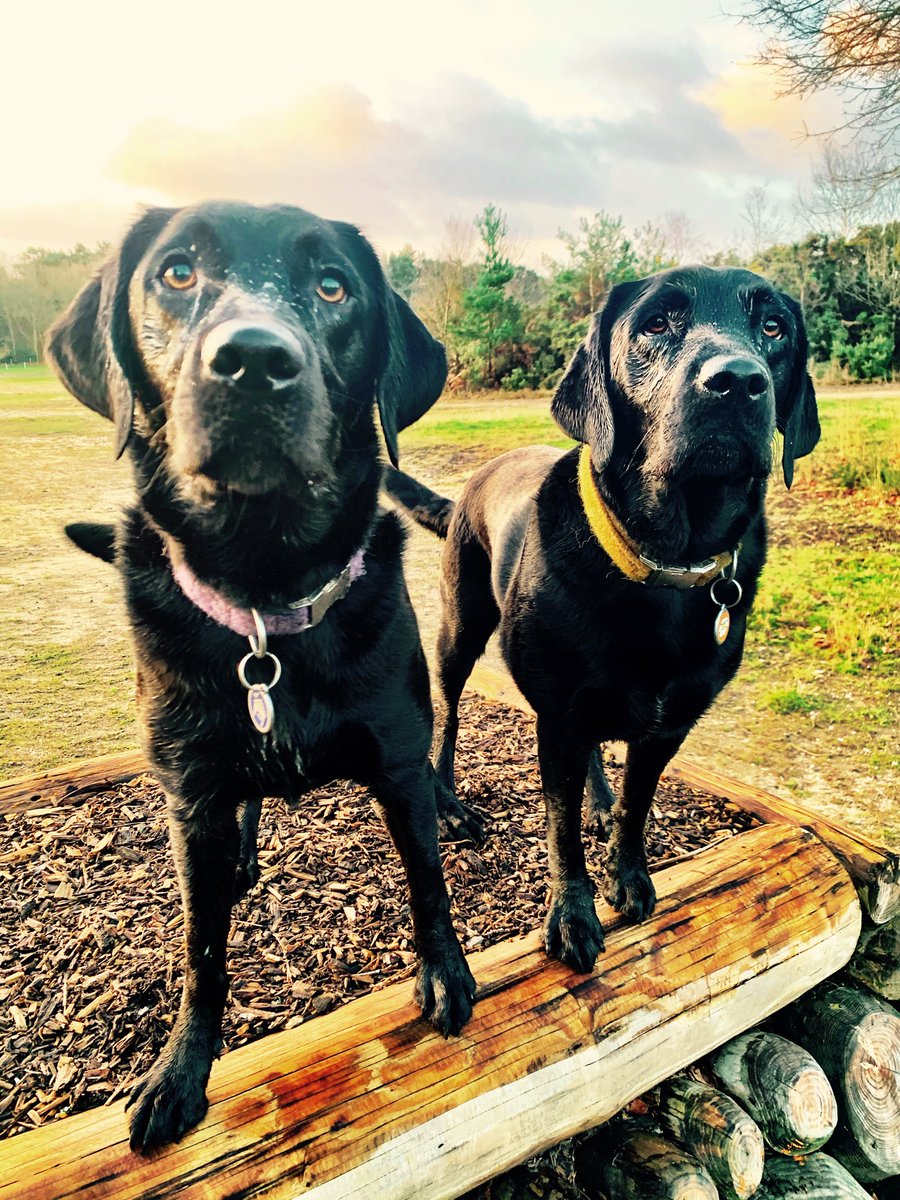 just because we all need a smile #coronavirus 

what makes you smile ?