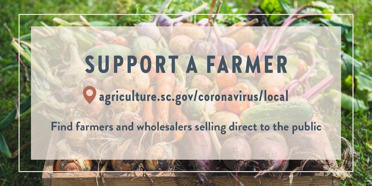 SCDAgriculture's tweet photo. Find local food and help SC farmers while socially distancing with on-farm pickups, delivery and more. We'll keep updating this list. https://t.co/7HmZA9LS2Q https://t.co/sc2yhlCXsH