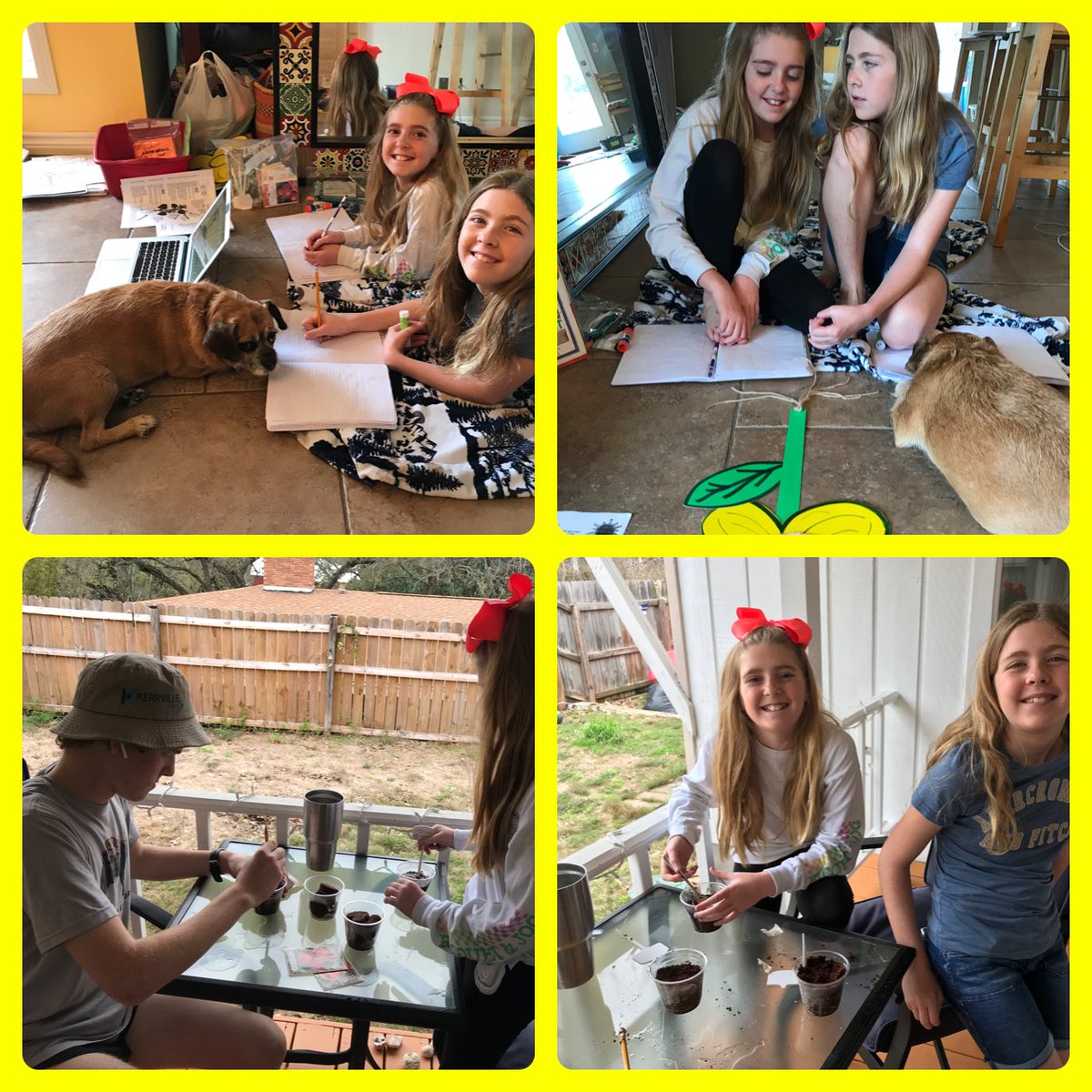 WraseScientists's tweet photo. Figuring out how to modify lessons for the coming weeks for my 4th grade scientists. We had a good practice lesson on plant parts...aside from an occasional eye roll and speaking out of turn! #notinmyclass #takemebacktoschool https://t.co/6Klh3qGASM