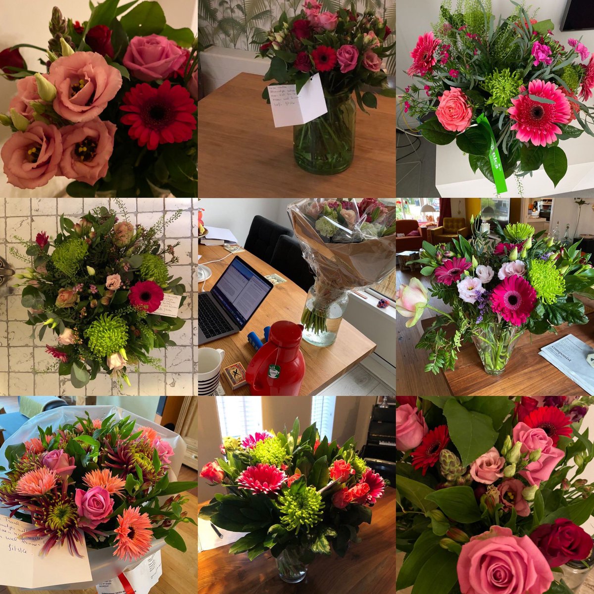 HumanDimensionJ's tweet photo. Bloemen voor het hele team: omdat we de bloemetjes nu niet buiten kunnen zetten, zetten we ze binnen! #strongtribes https://t.co/6OXOhMmqbx