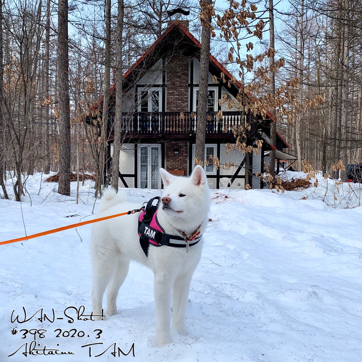 秋田犬tam おはようございます 今年の初外泊は 中札内農村休暇村 フェーリエンドルフ 北海道 十勝の田園地帯に広がる緑の中のドイツ風の質実な雰囲気のリゾート施設です 中札内農村休暇村 フェーリエンドルフ 愛犬と旅行 愛犬とキャンプ