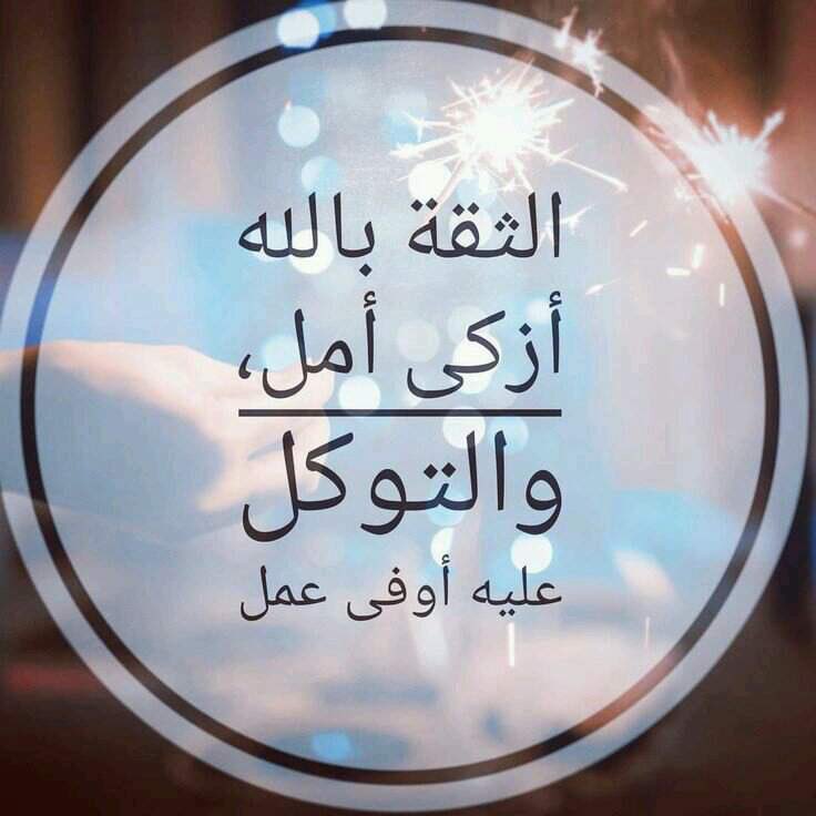 altkohej's tweet photo. تصبحون على خير https://t.co/hb6kdwPBMJ