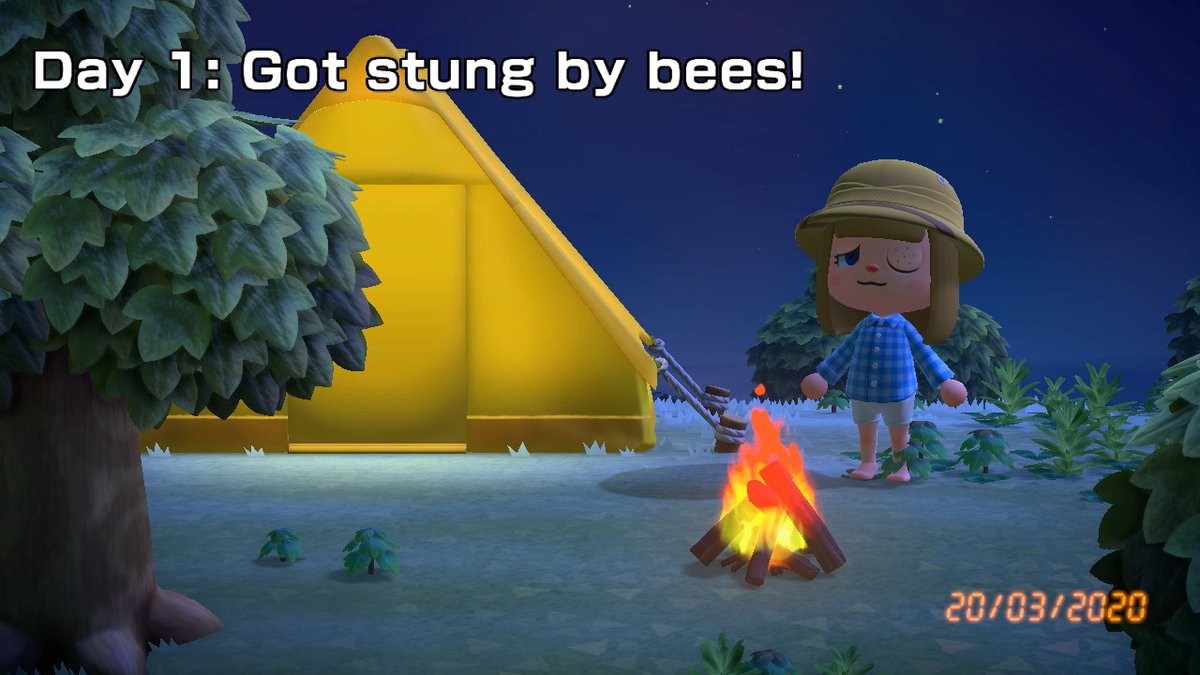 So it was a total success ;) #AnimalCrossing #ACNH #NintendoSwitch