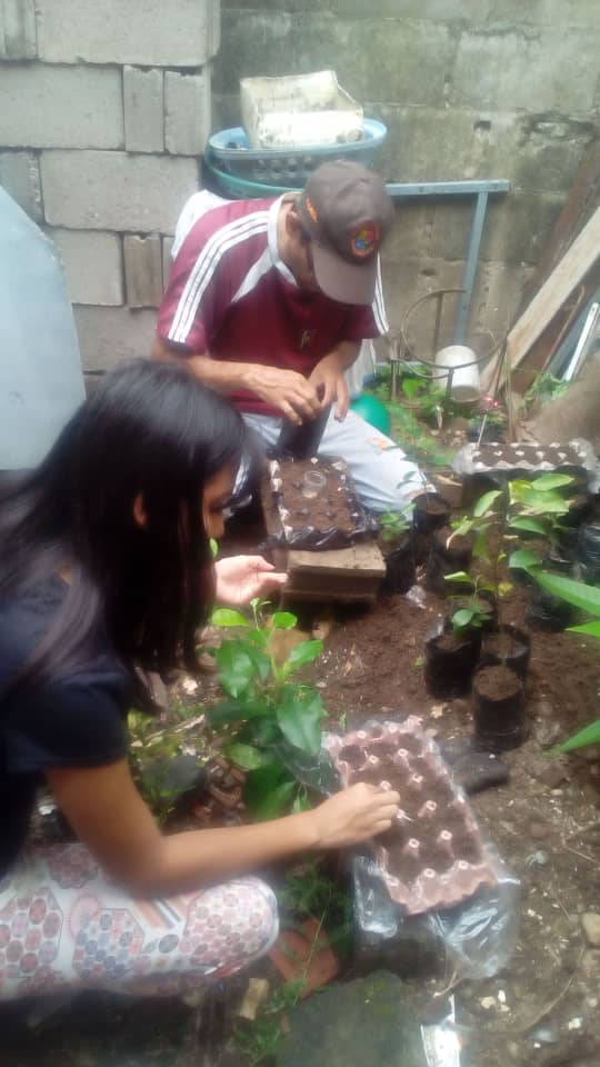 charlychaves's tweet photo. ¡En casa también se aprende!

Con el apoyo del representante nuestra estudiante del Liceo Perpetuo Socorro🏫 del municipio #GarcíaDeHevia #Táchira, realiza sus actividades pedagógicas cumpliendo con el Plan #CadaFamiliaUnaEscuela @MPPEDUCACION
#LaSolidaridadVenceAlCoronavirus https://t.co/lzBOBv8pht