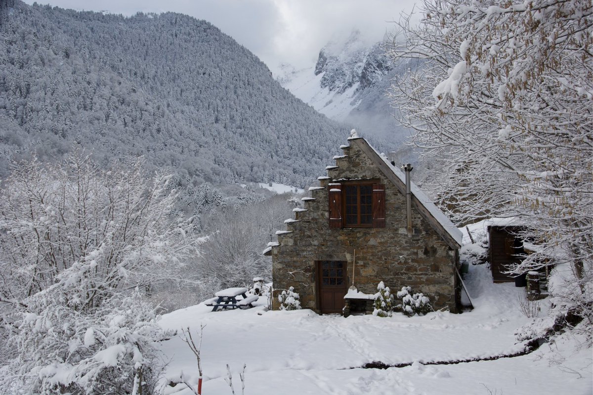 cercopithecus's tweet image. #lespyreneesdechezmois